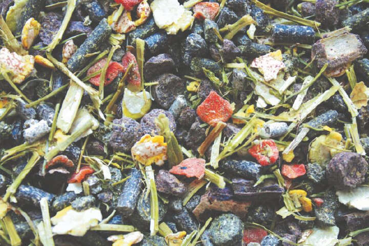 Hasfit Struktur Vital